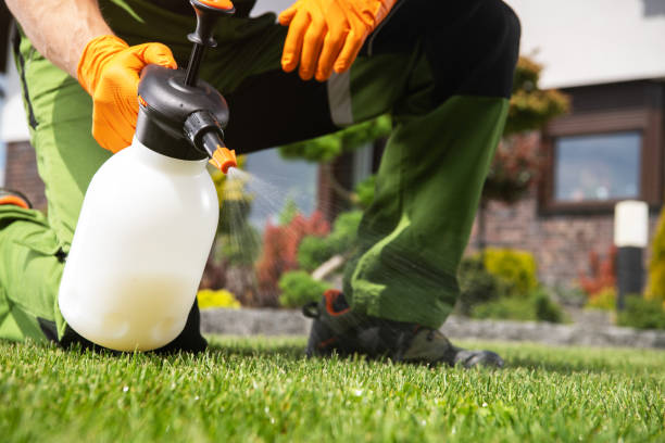 Best Spider Control Near Me  in Lakeland, TN