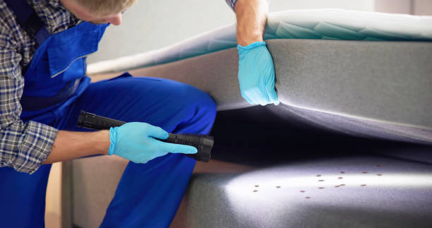 Trusted Lakeland, TN Pest Control Experts